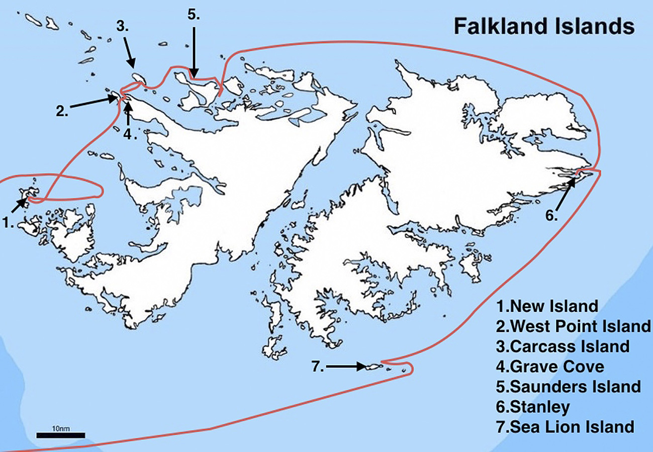 falk16-01-11_000a.jpg