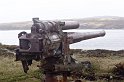 falk16-01-13_052