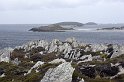 falk16-01-13_053