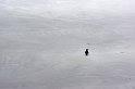falk16-01-13_055