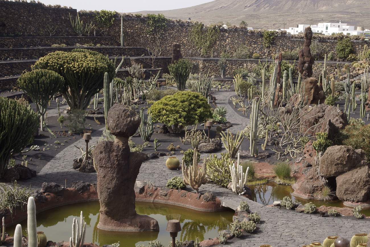 lanz08-03-14_026.jpg -  Lanzarote, mars 2008 Jardin de cactus fondé par Cesar Manrique