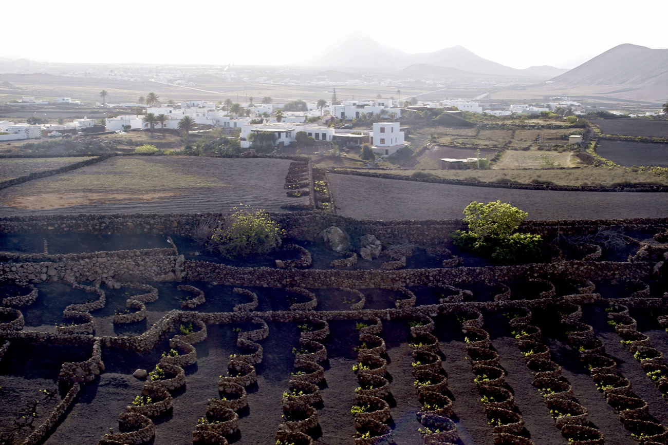 lanz08-03-15_118.jpg -  Lanzarote, mars 2008 région viticole de La Geria