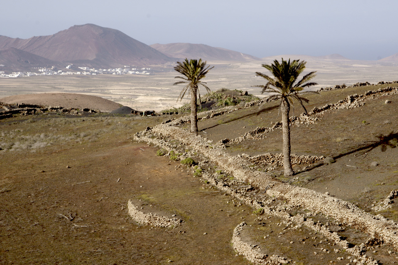 lanz08-03-15_121.jpg -  Lanzarote, mars 2008 région viticole de La Geria