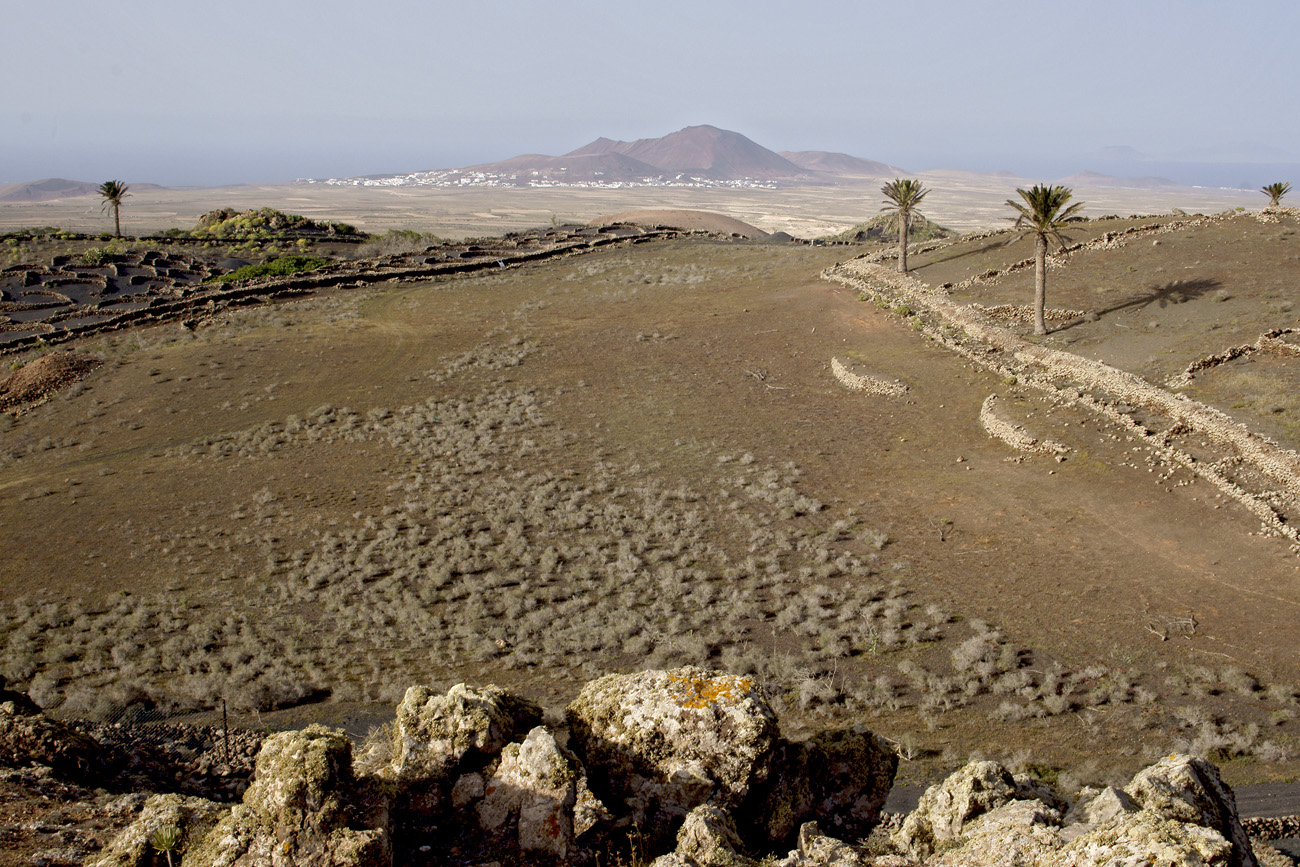 lanz08-03-15_124.jpg -  Lanzarote, mars 2008 région viticole de La Geria