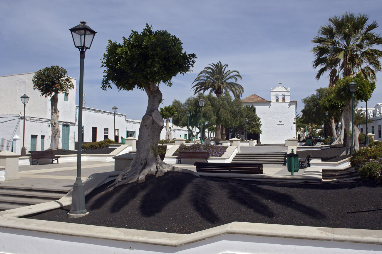 lanz08-03-17_014.jpg -  Lanzarote, mars 2008 Région nord-est