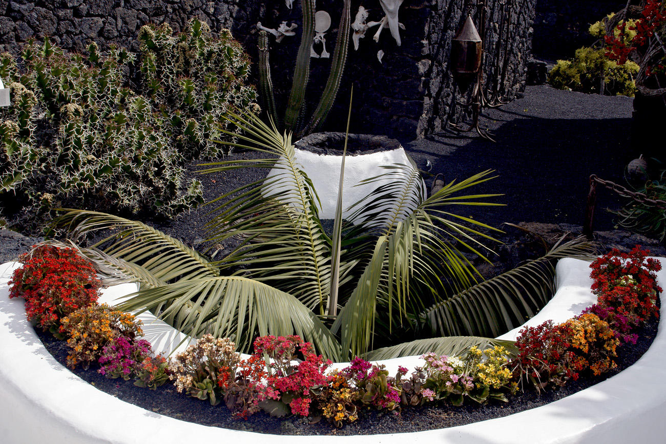 lanz08-03-18_006.jpg -  Lanzarote, mars 2008 Fondation Cesar Manrique