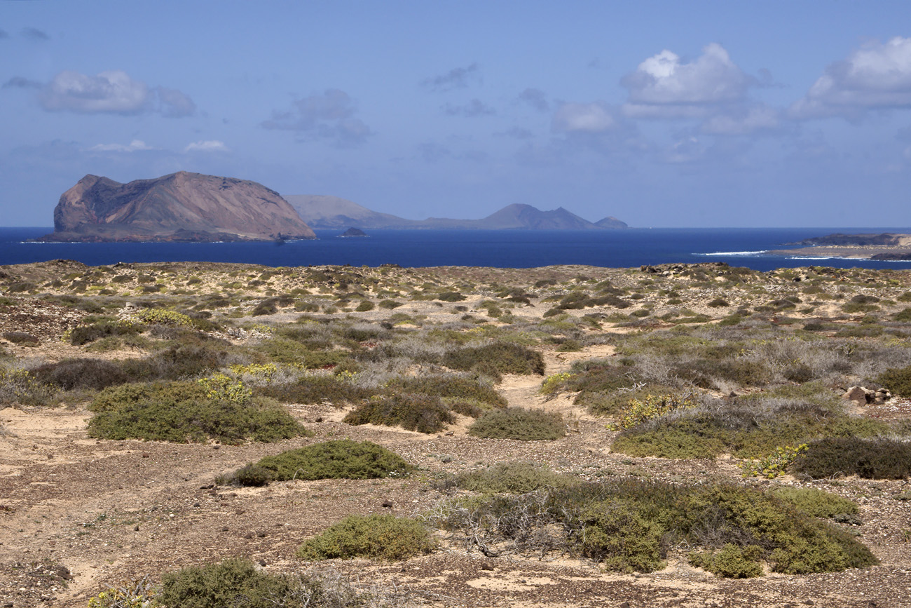 lanz08-03-19_072.jpg -  Lanzarote, mars 2008 randonnée dans l'île de la Graciosa
