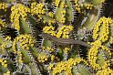 lanz08-03-14_039
