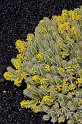lanz08-03-14_041