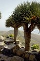 lanz08-03-14_047