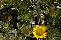 lanz08-03-14_080