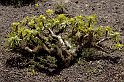 lanz08-03-14_084