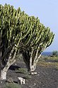 lanz08-03-16_081