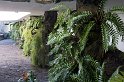 lanz08-03-19_127