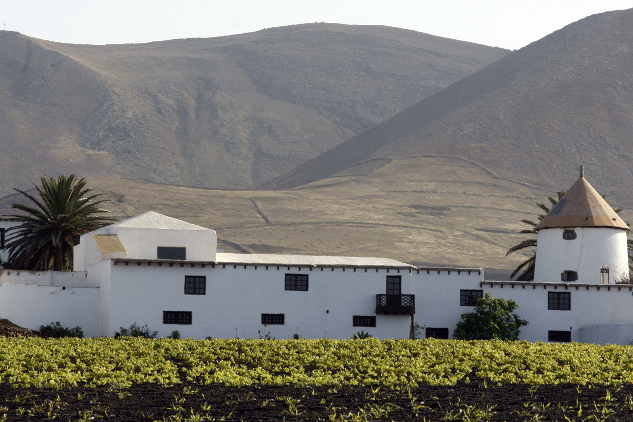 lanz08-03-15_115.jpg -  Lanzarote, mars 2008 région viticole de La Geria