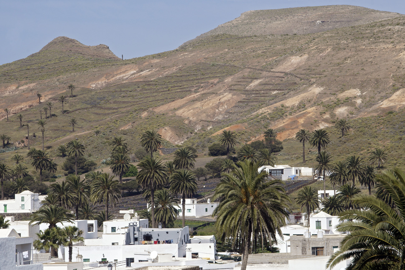lanz08-03-16_008.jpg -  Lanzarote, mars 2008 région de Puerto del Carmen