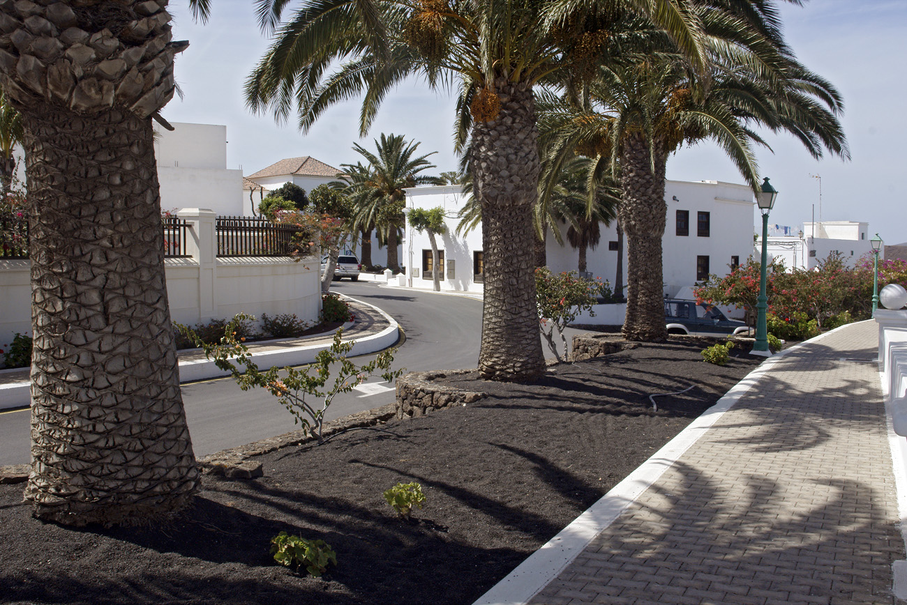 lanz08-03-17_018.jpg -  Lanzarote, mars 2008 Région nord-est