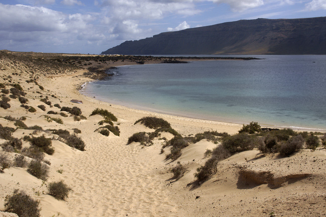 lanz08-03-19_059-m.jpg -  Lanzarote, mars 2008 randonnée dans l'île de la Graciosa