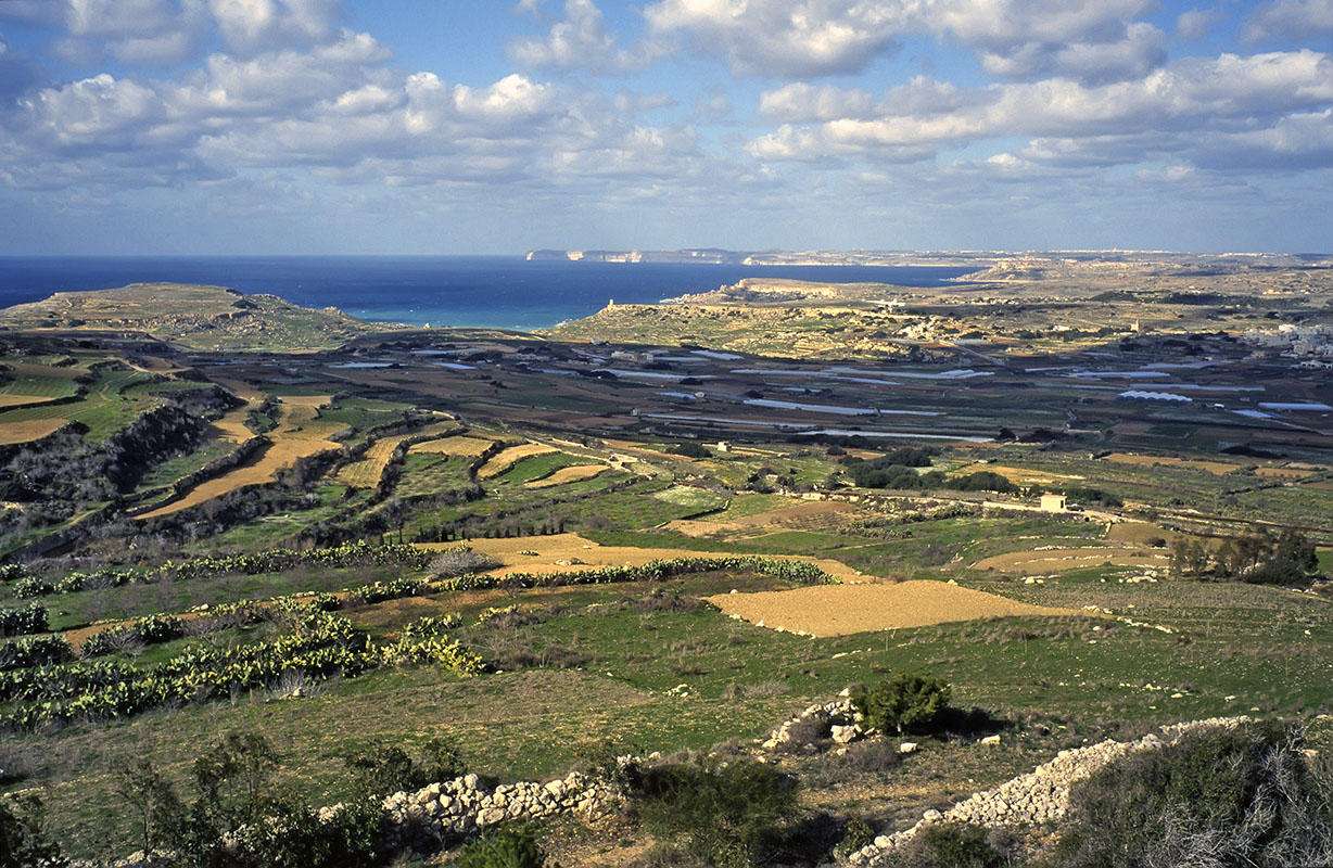 mlt116_mgarr_campagne.jpg -  île de Malte Victoria Lines la campagne entre Mgarr et les Victoria Lines