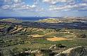 mlt116_mgarr_campagne