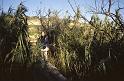 mlt216_avant_buskett_garden