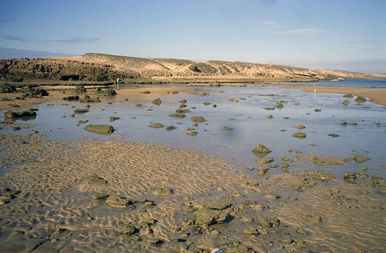 mar0410_023al2013.jpg - côte Safi à  El Jadida, octobre-novembre 2004 Oualidia marée basse Ektachrome 100 GX