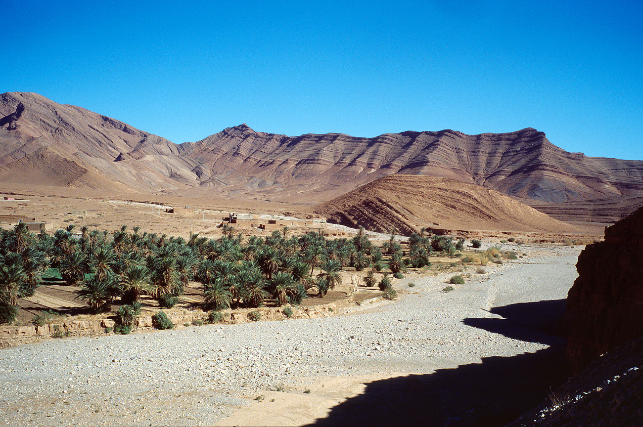 mar04_6_004al1013.jpg - Sud Ouest, octobre-novembre 2004 anti Atlas près de Tisgui Ida ou Ballou Ektachrome 100 GX