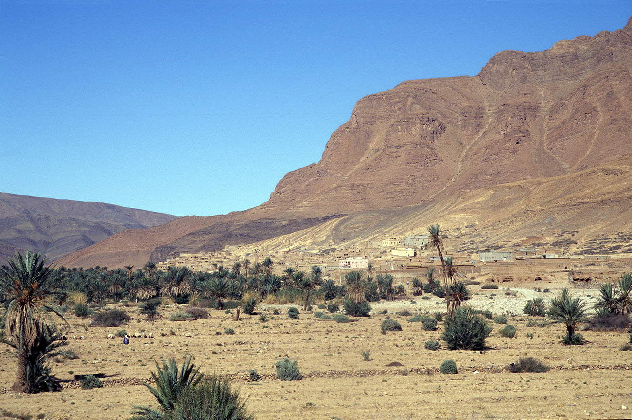 mar04_6_005.jpg - Sud Ouest, octobre-novembre 2004 anti Atlas près de Tisgui Ida ou Ballou Ektachrome 100 GX