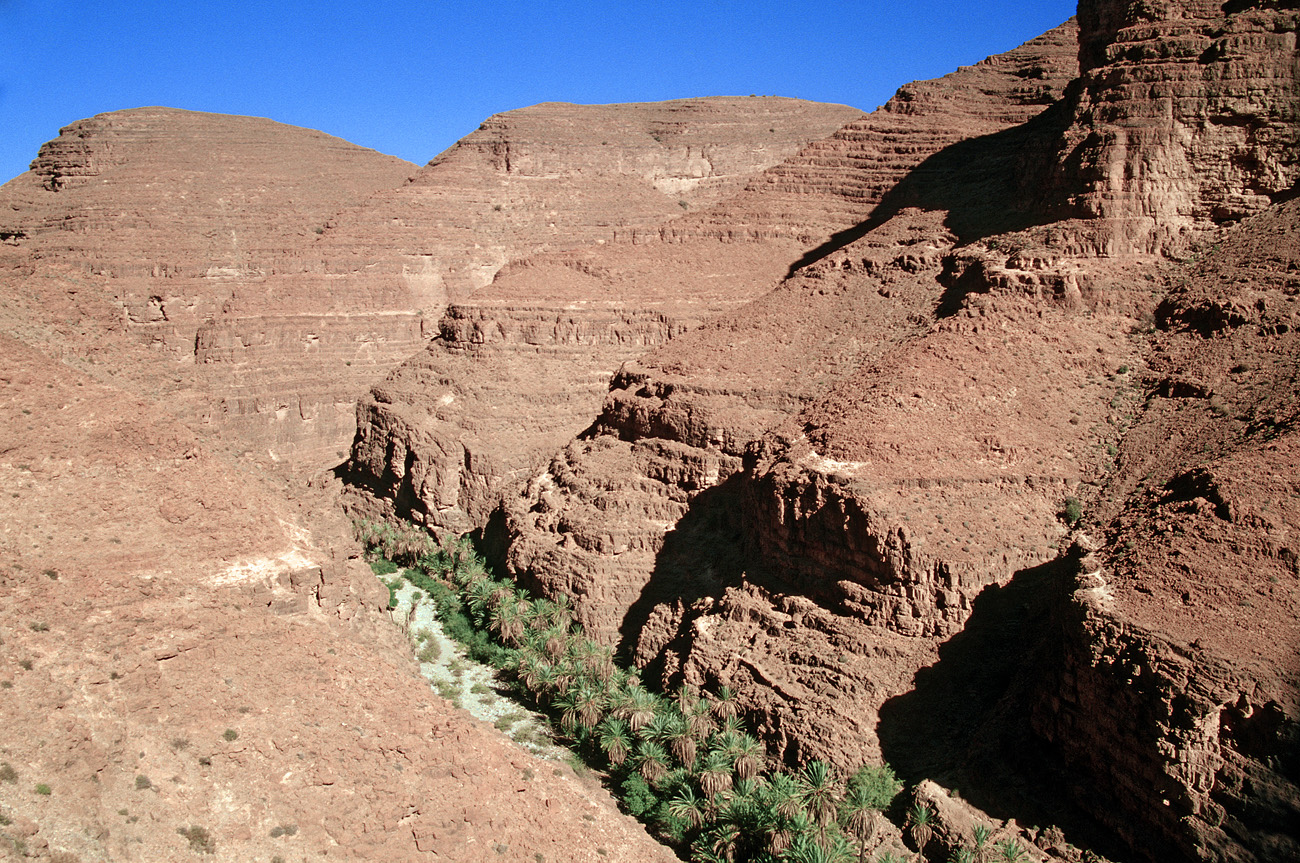 mar04_7_004.jpg - Sud ouest, octobre-novembre 2004 canyon entre Kehmis et Im Ouzlag oasis au fond du canyon, près d'Ida Issa Ektachrome 100 GX