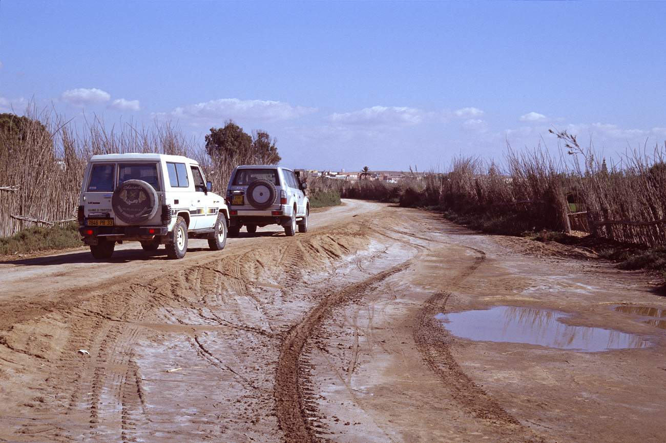 mar04_7_023.jpg - Sud ouest, octobre-novembre 2004 oued Massa en approchant de Sidi Ouassal Ektachrome 100 GX
