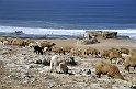 mar0410_009