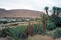 mar04_2_007al1008