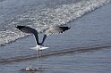 ma08-11-21_030