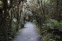 nz12-01-27_055