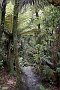 nz12-01-28_083