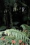 nz12-01-28_094