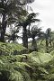 nz12-02-01_073