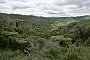 nz12-02-07_139