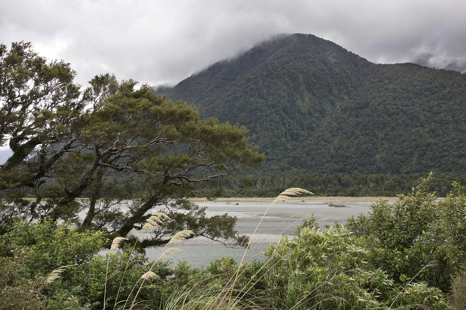 nz12-01-26_013.jpg - Westland Haast River