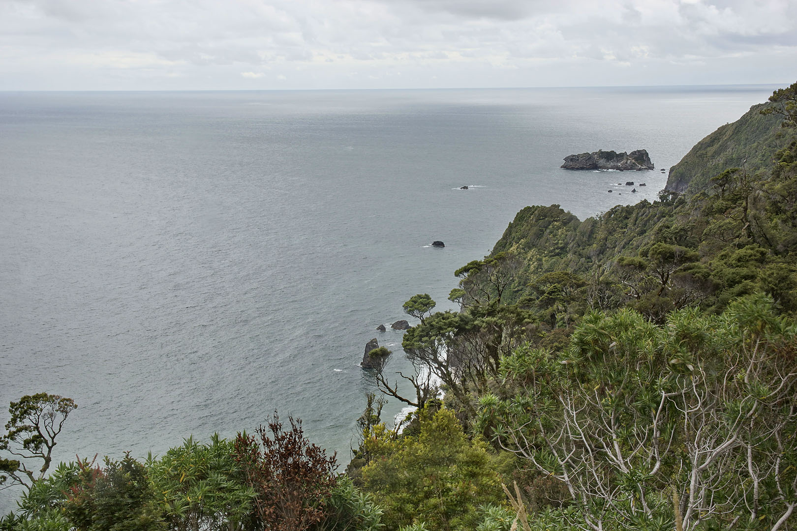 nz12-01-26_032.jpg - Knights point Westland Haast Pass Highway