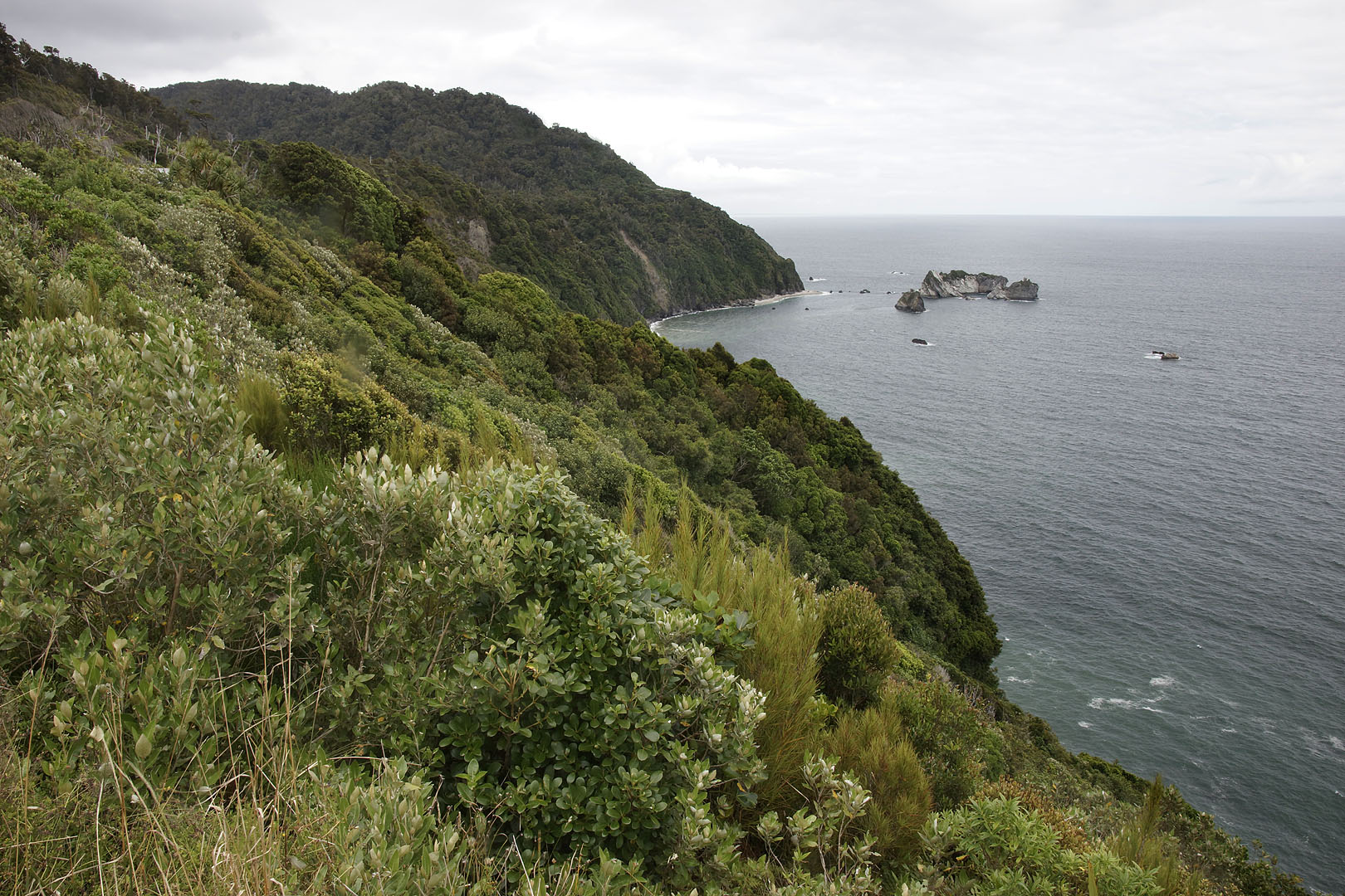 nz12-01-26_036.jpg - Knights point Westland Haast Pass Highway