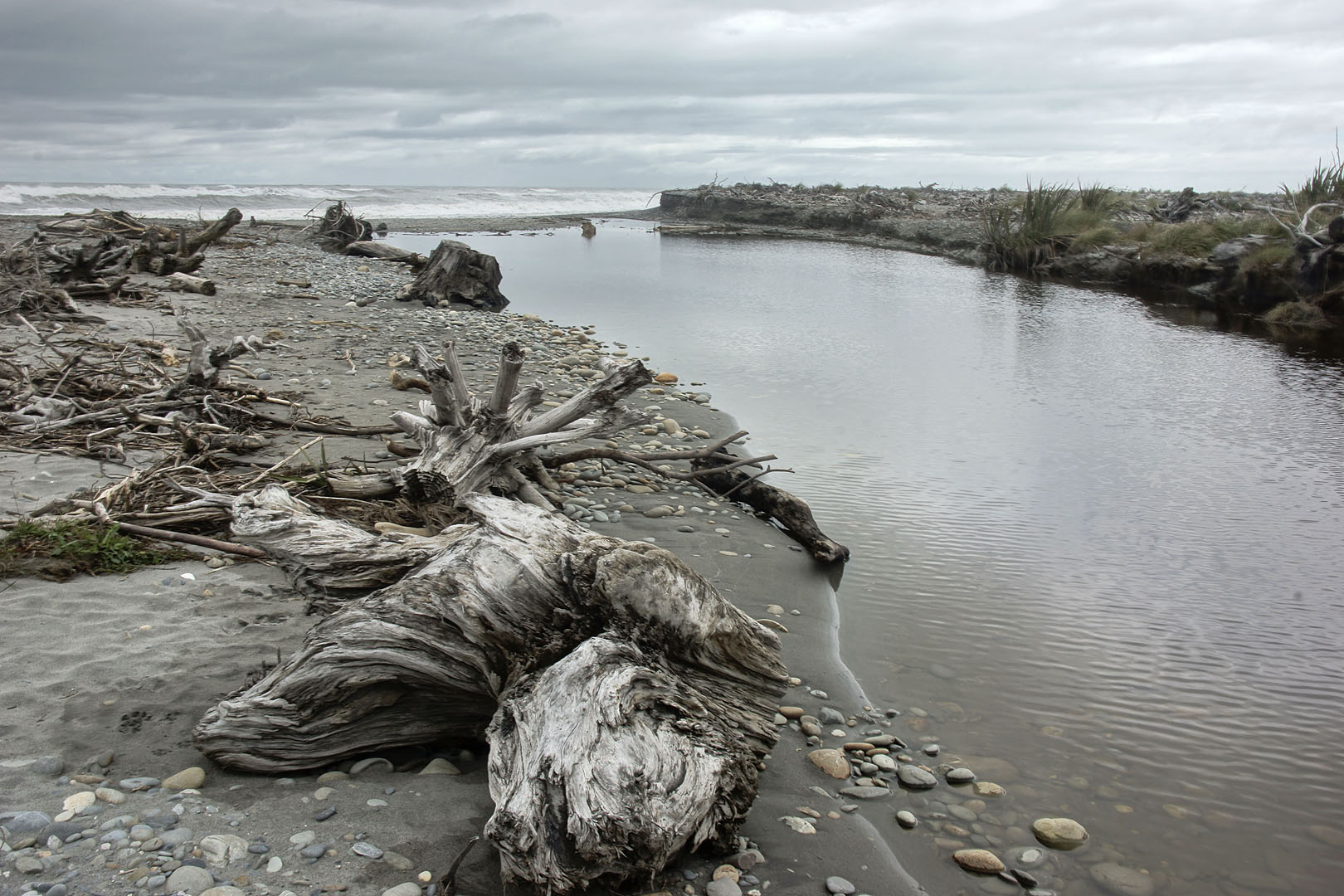 nz12-01-28_045.jpg - mer de Tasman Grey District Greymouth