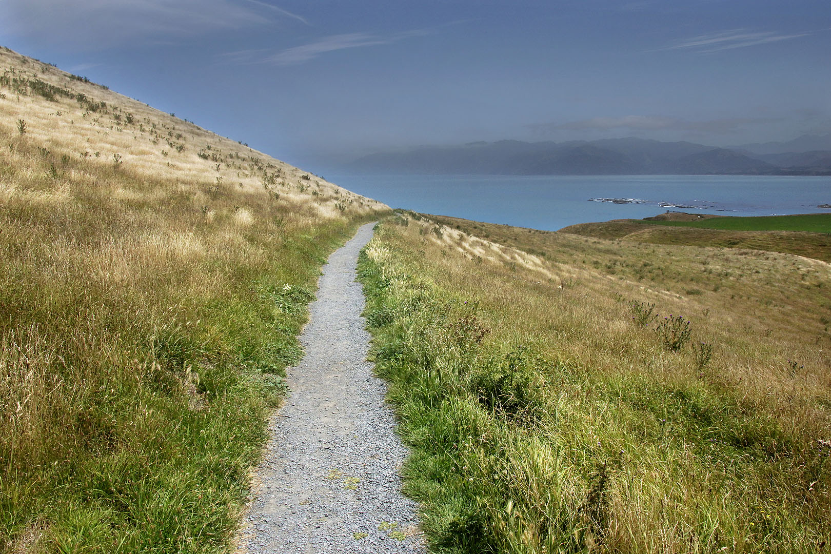 nz12-01-30_040.jpg - sur le sentier de la péninsule Kaikoura District Kaikoura