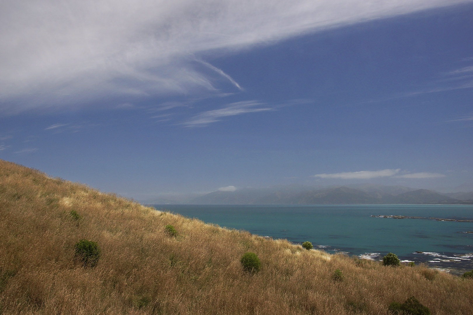 nz12-01-30_046.jpg - sur le sentier de la péninsule Kaikoura District Kaikoura