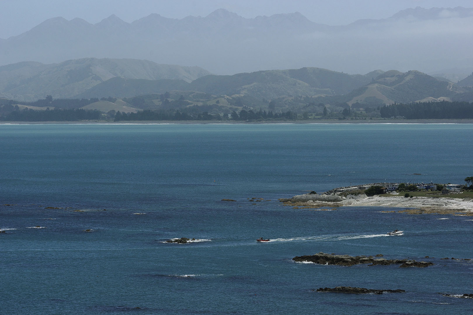 nz12-01-30_056.jpg - sur le sentier de la péninsule, vue sur South Bay Kaikoura District Kaikoura