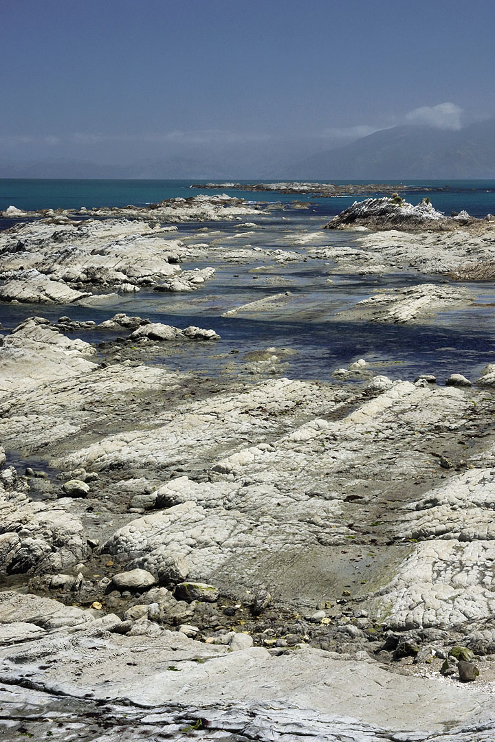 nz12-01-30_066.jpg - South Bay Kaikoura District Kaikoura