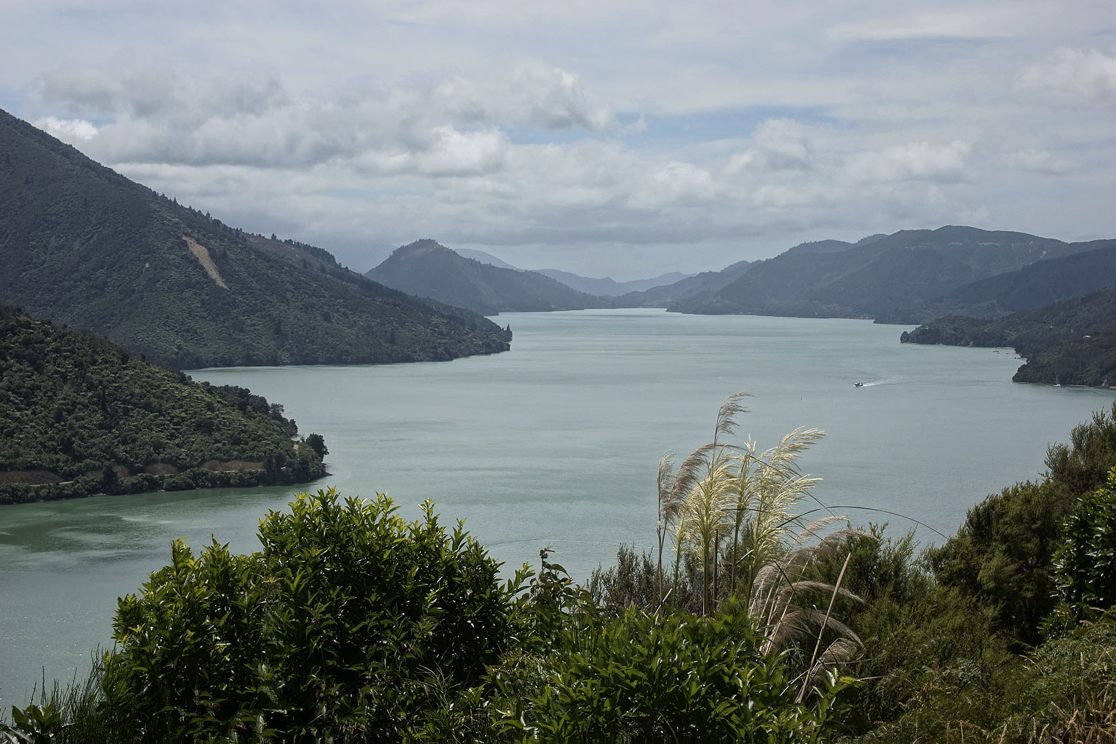 nz12-01-31_038.jpg - Mahau Sound, au Cullen Point près de Havelock Marlborough Queen Charlotte Road