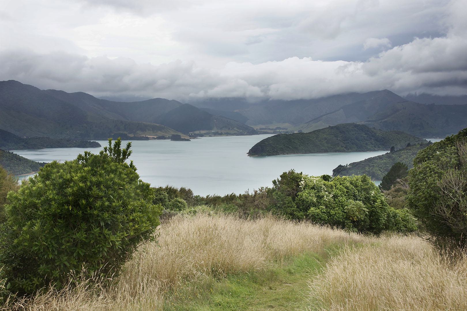 nz12-02-01_059.jpg - Kenepuru Sound depuis le Queen Charlotte track Marlborough Lochmara Bay