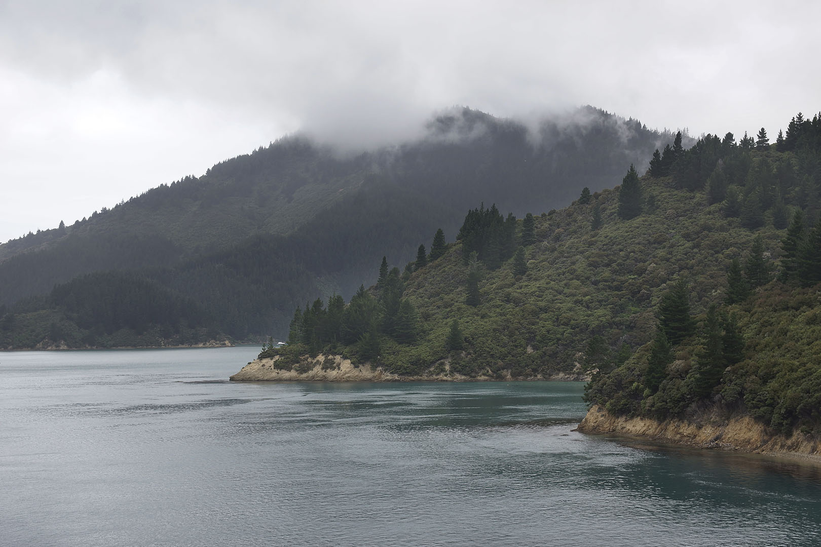 nz12-02-02_007.jpg - sur le ferry en route vers Wellington Marlborough Queen Charlotte Sound