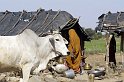 raj07-02-17_021